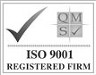 ISO 9001 logo